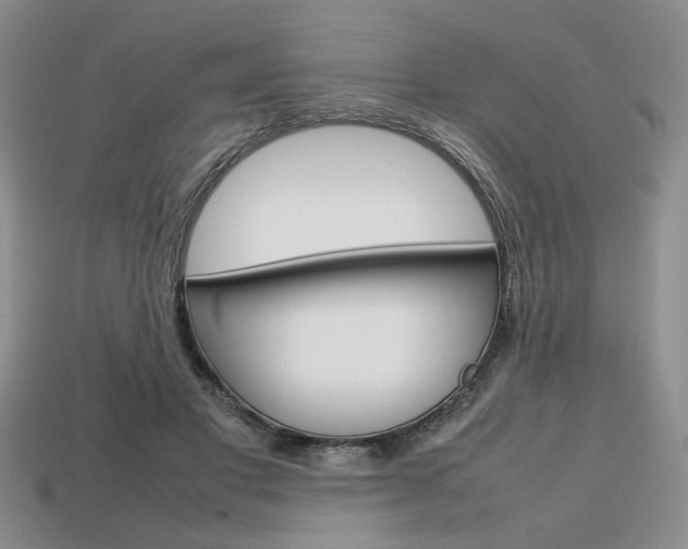 X0000113850501200909241008