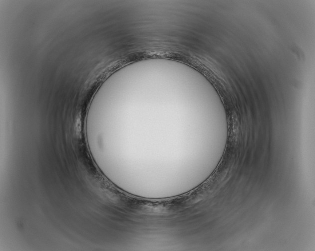 X0000113850502200909241008