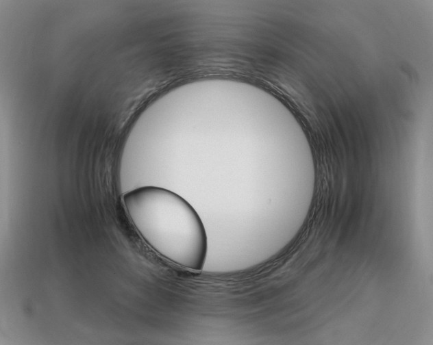 X0000113850504200909241008