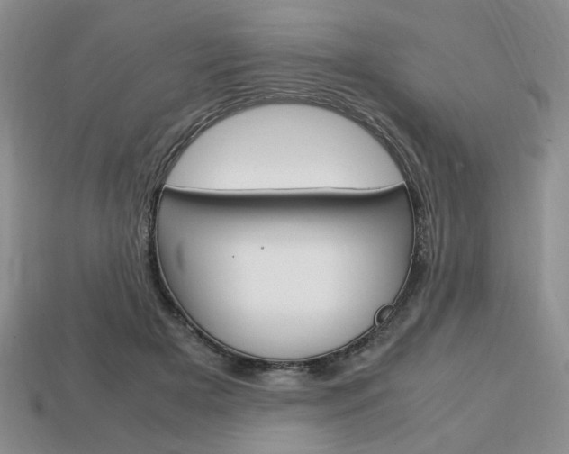 X0000113850505200909241008