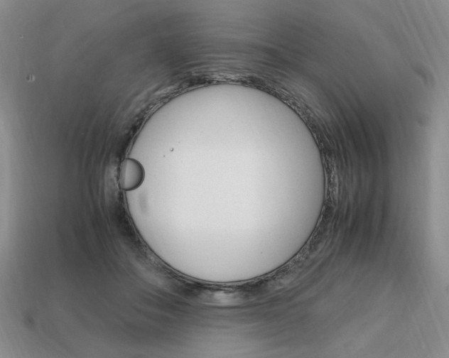 X0000113850506200909241008