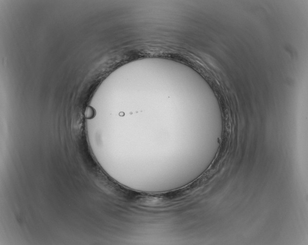 X0000113850507200909241008