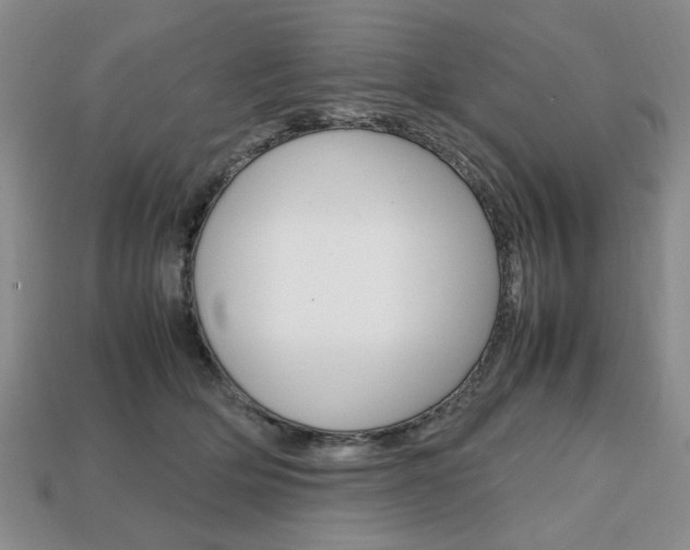 X0000113850514200909241008