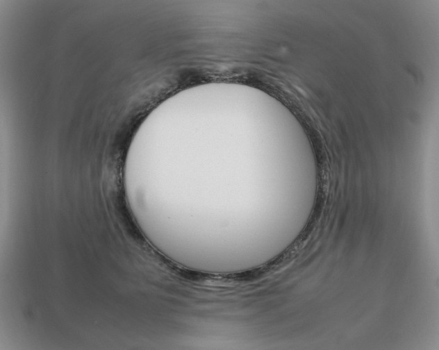 X0000113850515200909241008
