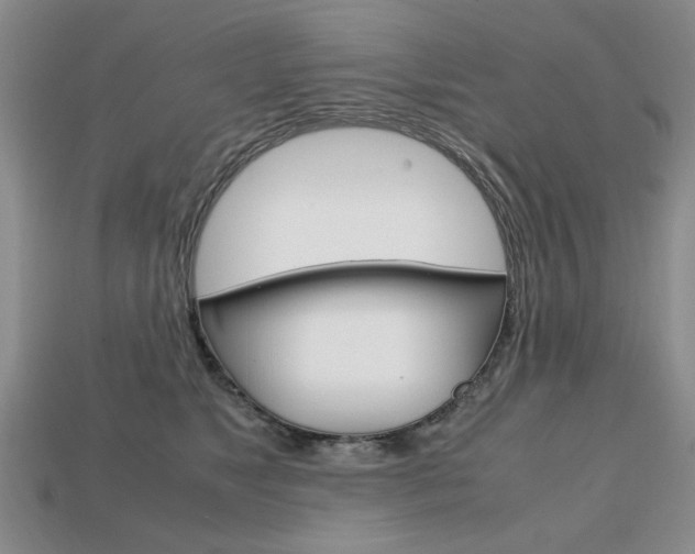 X0000113850517200909241008