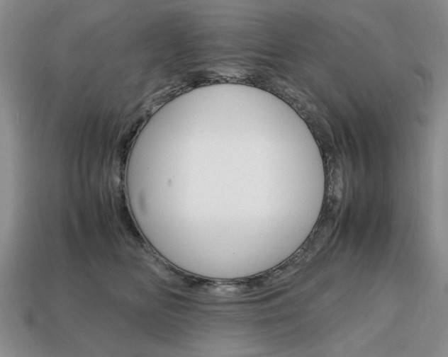 X0000113850518200909241008