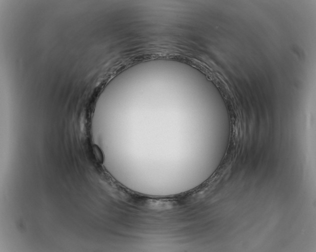 X0000113850520200909241008