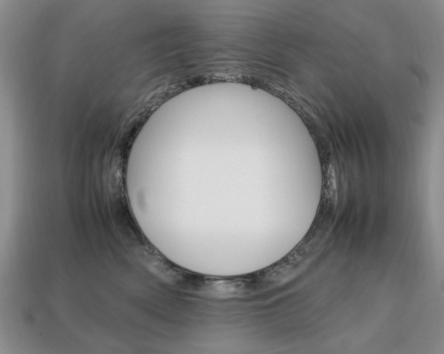 X0000113850522200909241007