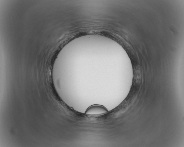 X0000113850523200909241007