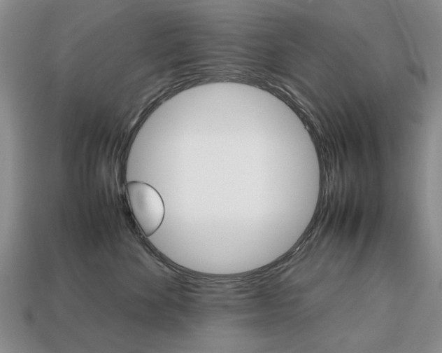 X0000113850524200909241007