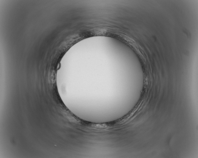X0000113850525200909241007