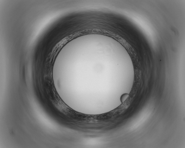 X0000113850526200909241007