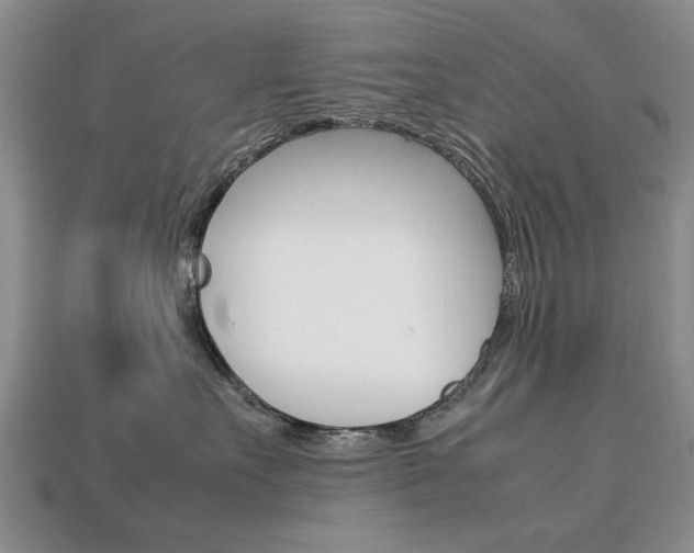 X0000113850527200909241007