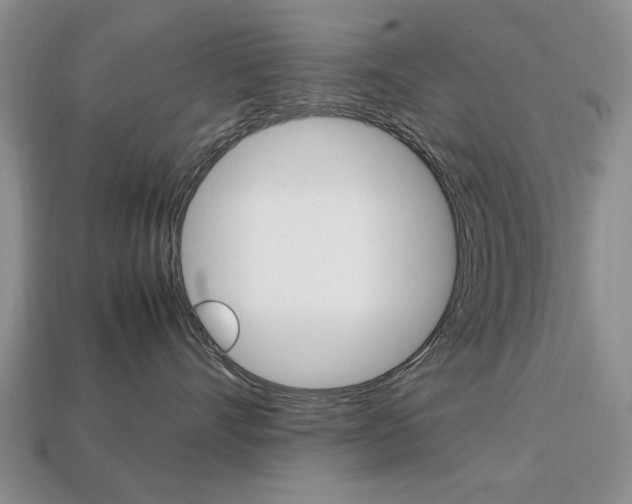 X0000113850528200909241007