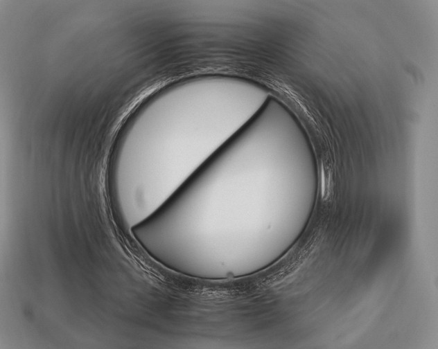 X0000113850531200909241007