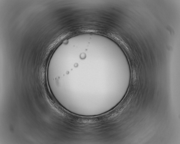 X0000113850533200909241007