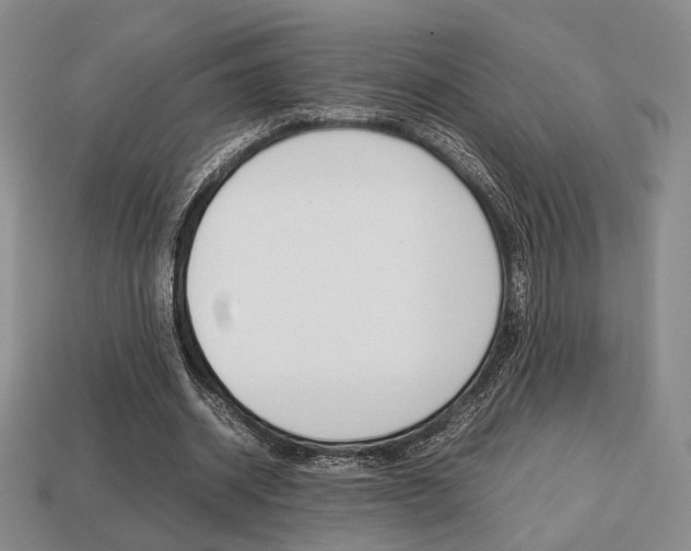 X0000113850534200909241007