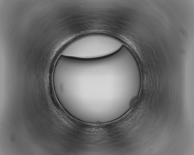 X0000113850535200909241007