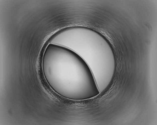 X0000113850536200909241007