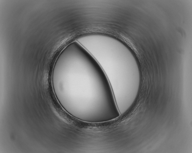 X0000113850538200909241007