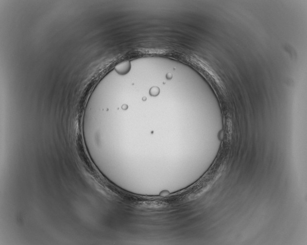 X0000113850541200909241007