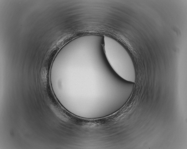 X0000113850542200909241007