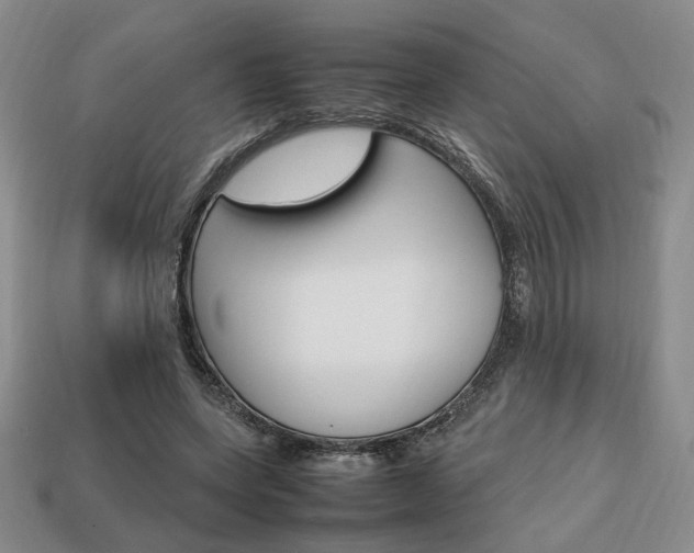 X0000113850543200909241007