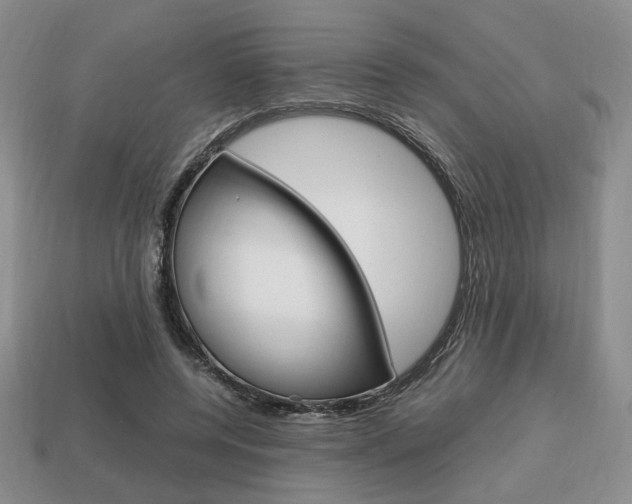 X0000113850544200909241007
