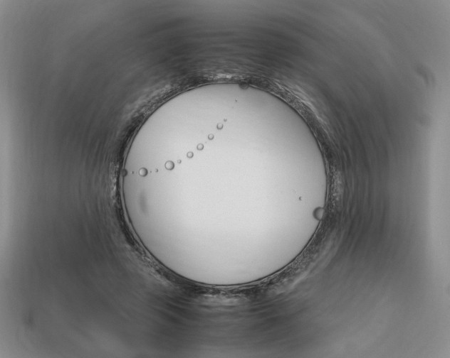 X0000113850545200909241007