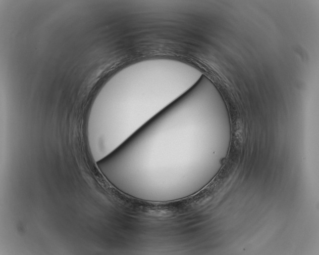 X0000113850547200909241007