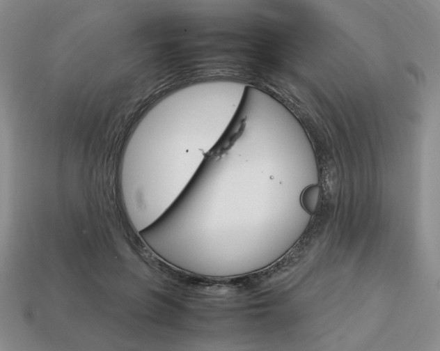 X0000113850551200909241007