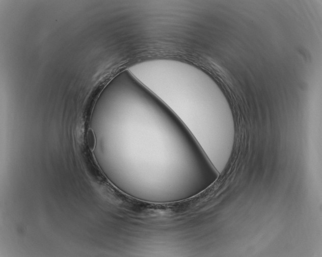 X0000113850552200909241007