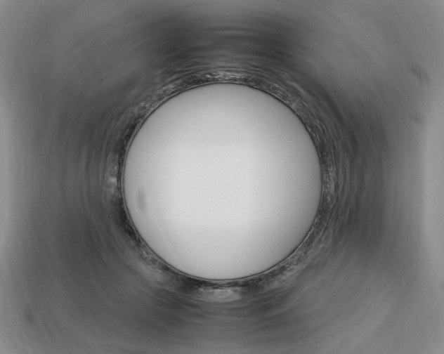 X0000113850553200909241007