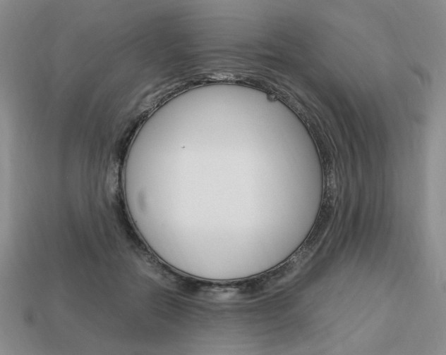 X0000113850554200909241007