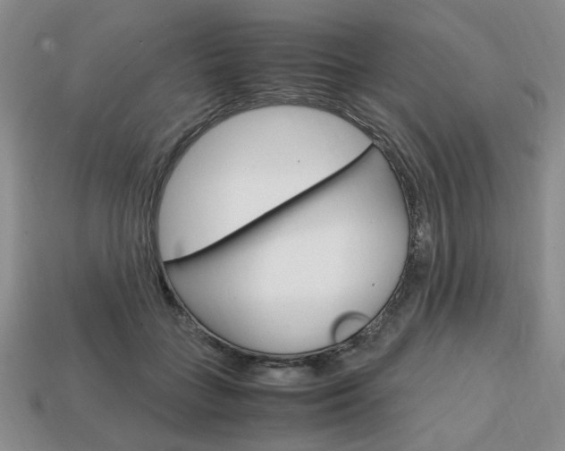 X0000113850555200909241007