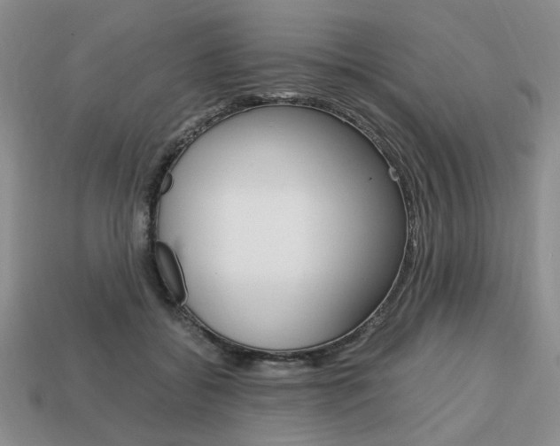 X0000113850556200909241007