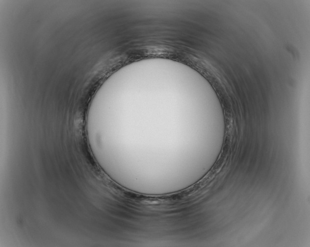 X0000113850557200909241007