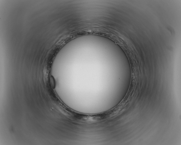 X0000113850558200909241007