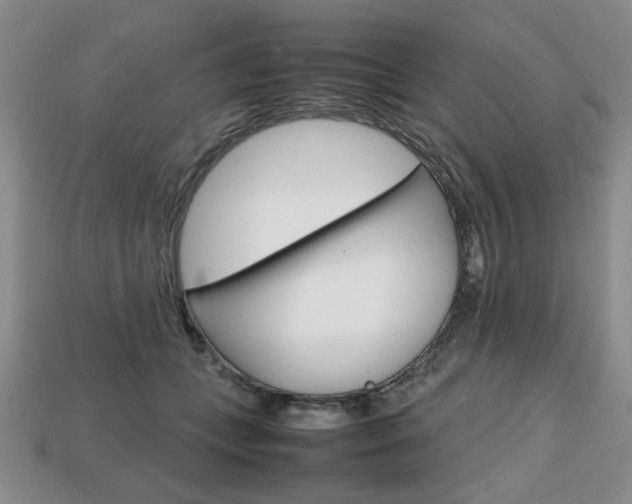 X0000113850559200909241007