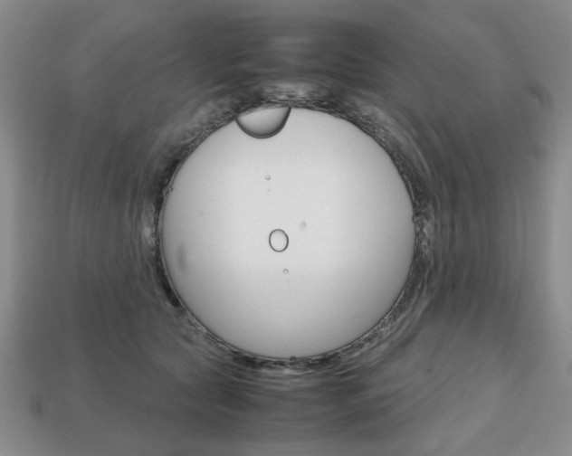 X0000113850561200909241007