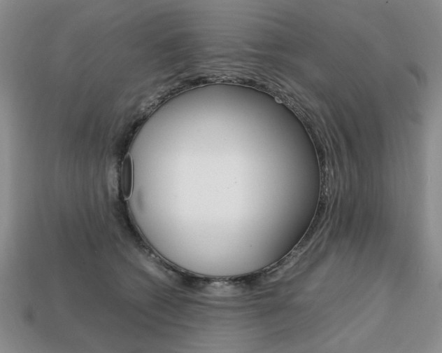 X0000113850562200909241007