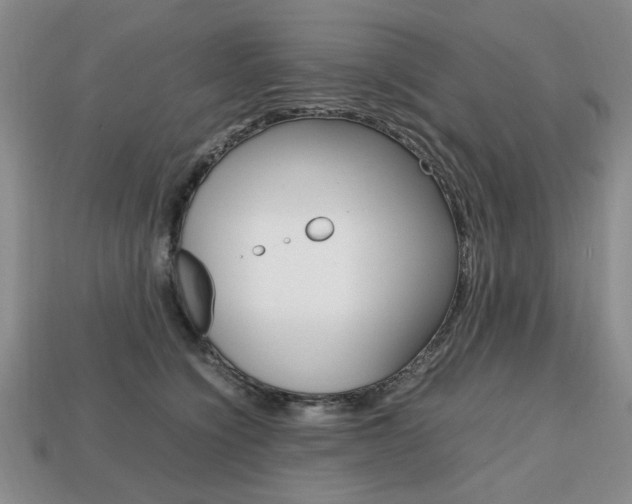 X0000113850564200909241007
