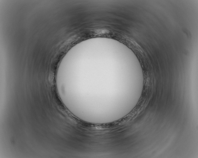 X0000113850565200909241007