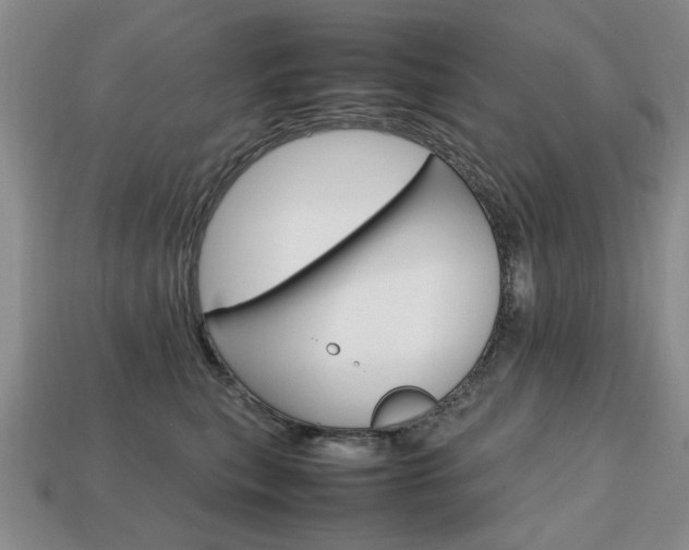 X0000113850567200909241007