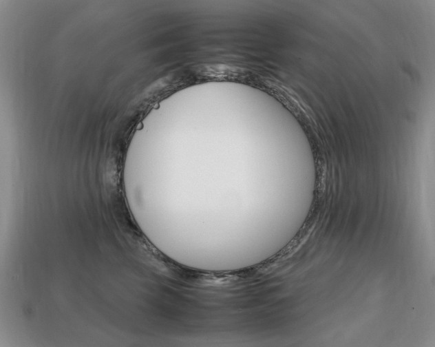X0000113850569200909241007