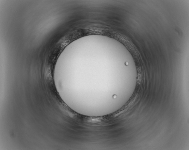 X0000113850573200909241007