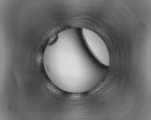 X0000113850574200909241007