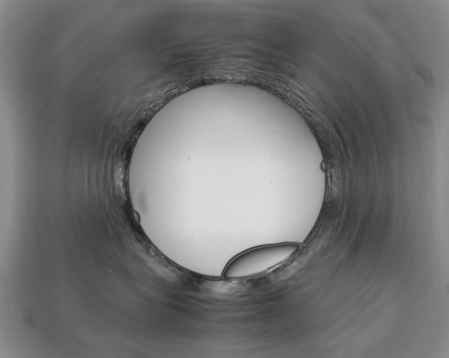 X0000113850575200909241007