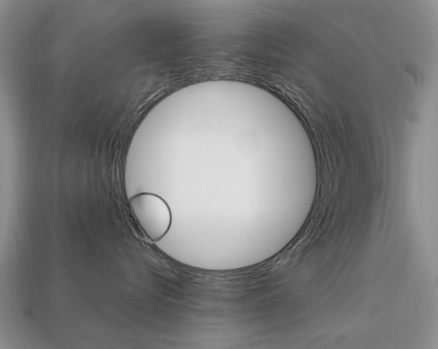 X0000113850576200909241007