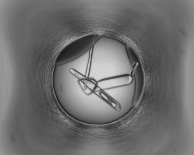 X0000113850577200909241007